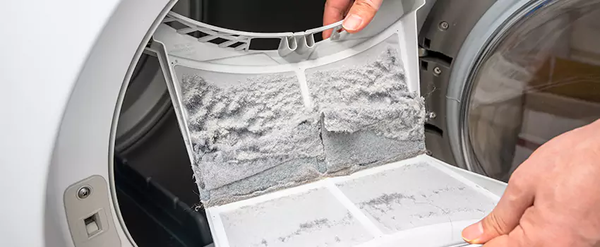 Best Dryer Lint Removal Company in South Elgin, Illinois