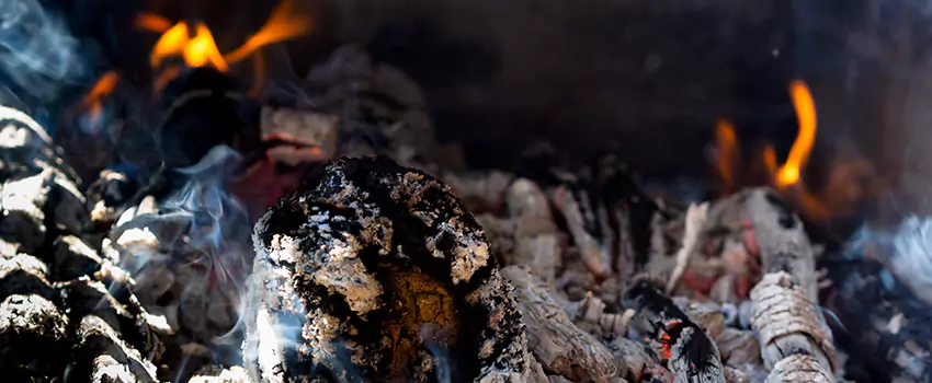 Creosote Removal Experts in South Elgin, IL
